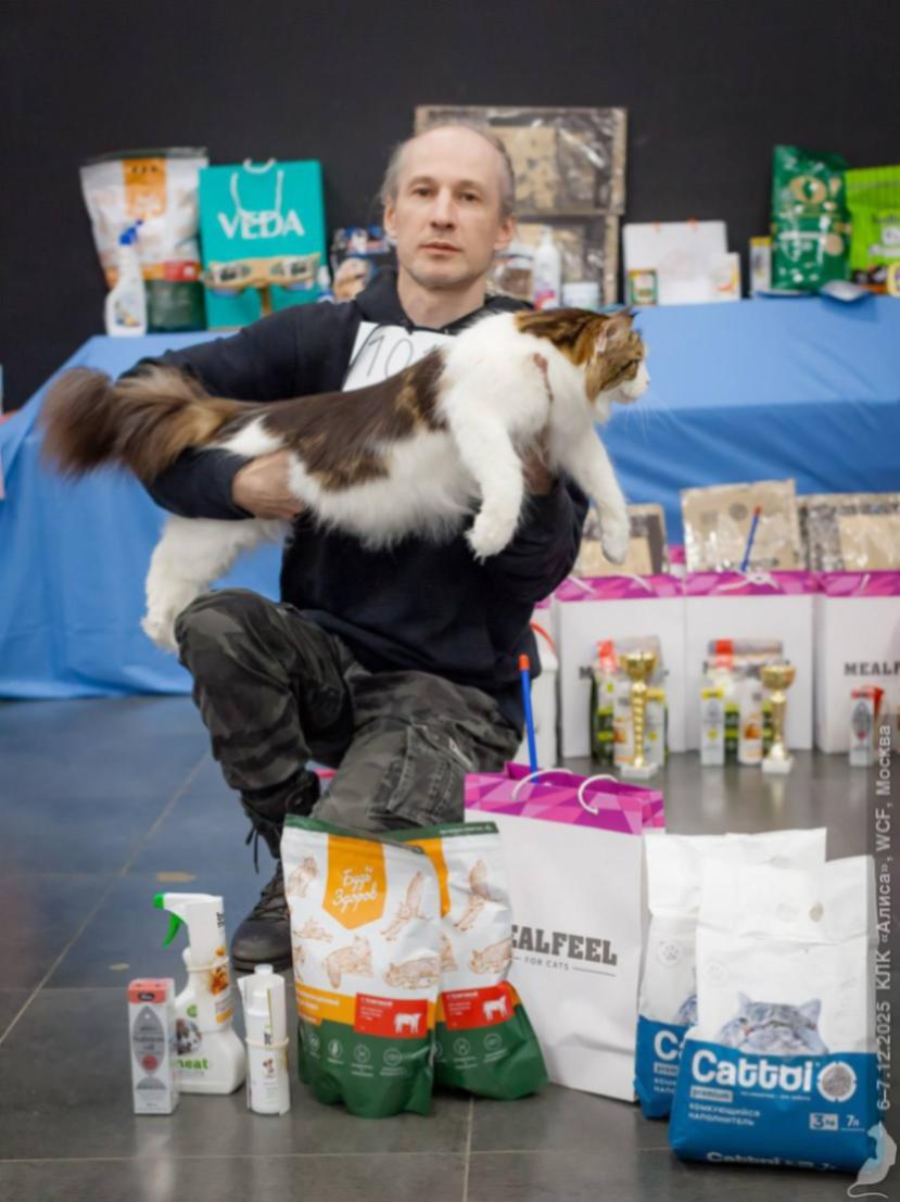 Cattoi — среди участников кошачьей выставки центра «Алиса»