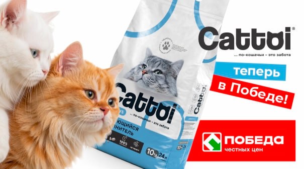 Бренд Cattoi расширяет географию присутствия: старт продаж в сети «Победа»