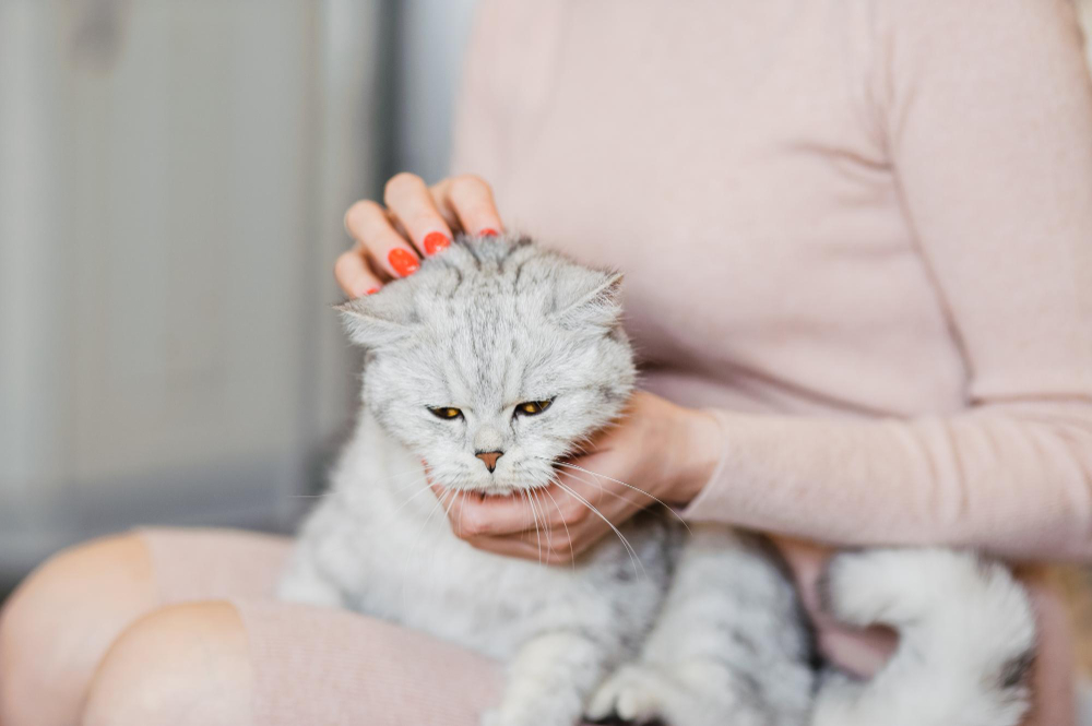 В чем риск стресса