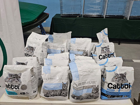 Cattoi — с любовью к кошкам и тем, кто их выбирает!