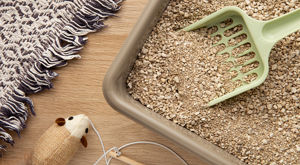 Зачем кошки закапывают свои какашки?